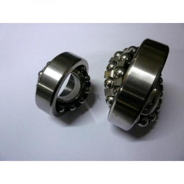 Rolling Mill Bearing Nu219 with Brass Cage M Nu Nj Nup Nnu N220 Roller Bearing #1 image